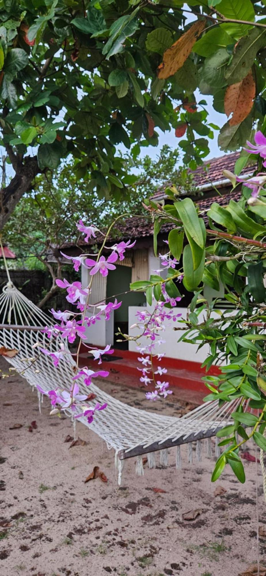 Angeo Beach House Alappuzha Dış mekan fotoğraf